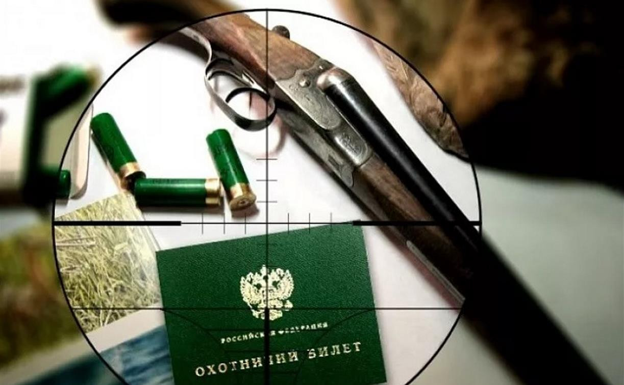 Уведомление о проведении общественных обсуждений материалов, обосновывающих лимиты изъятия диких копытных животных (лось, олень благородный, косуля европейская) на территории Брянской области в сезон охоты 2025-2026 гг. (с 1 августа 2025 года до 1 августа.